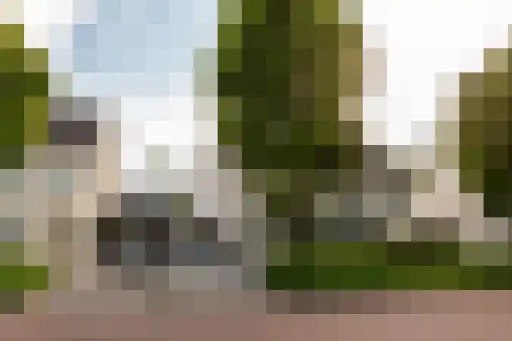 Salentijnerhout 81 Harderwijk thumbnail 40