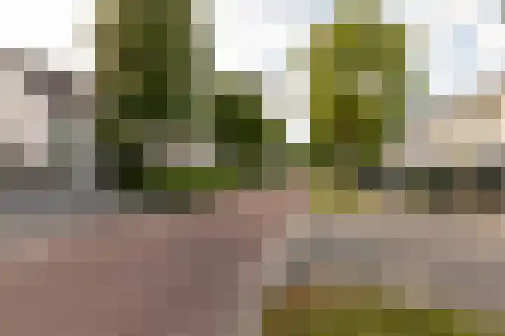 Salentijnerhout 81 Harderwijk thumbnail 42