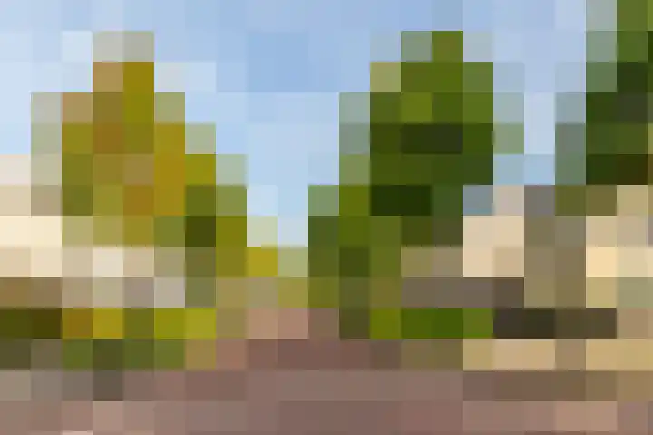 Salentijnerhout 81 Harderwijk thumbnail 43