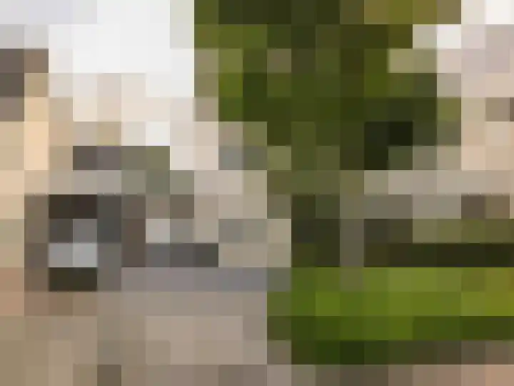 Salentijnerhout 81 Harderwijk thumbnail 44