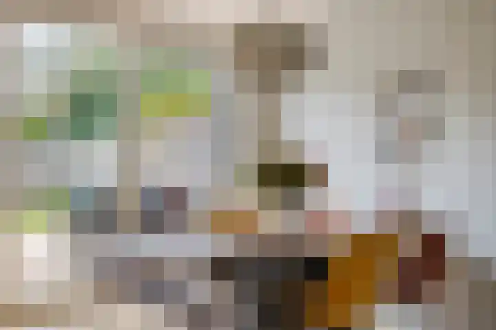 Salernolaan 18 Maastricht thumbnail 10