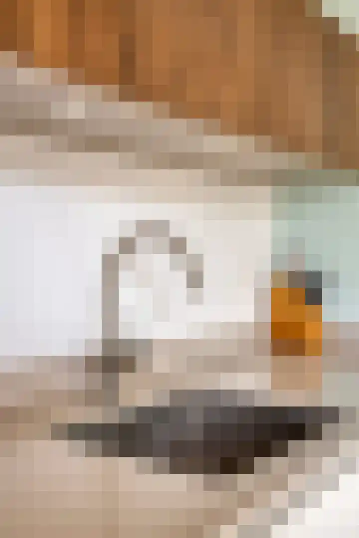 Salernolaan 18 Maastricht thumbnail 13