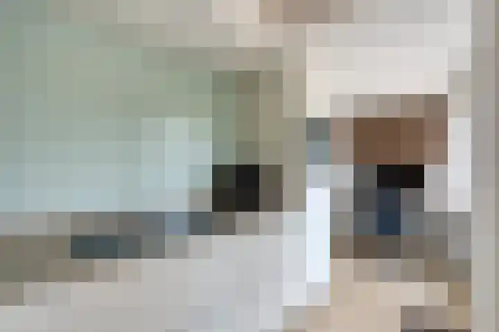 Salernolaan 18 Maastricht thumbnail 15