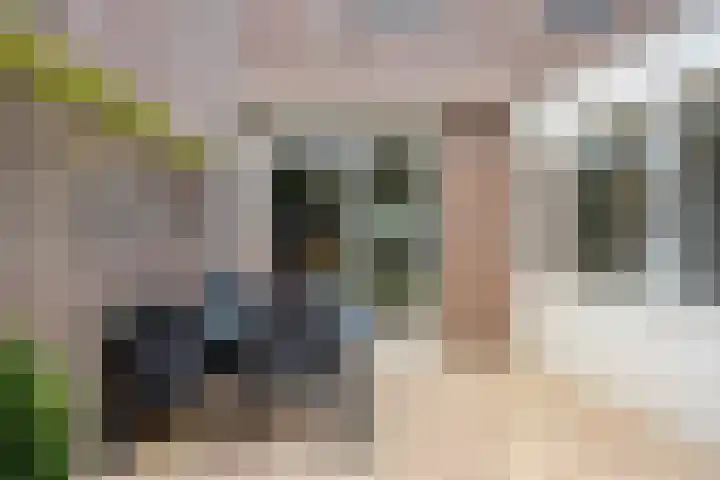 Salernolaan 18 Maastricht thumbnail 17