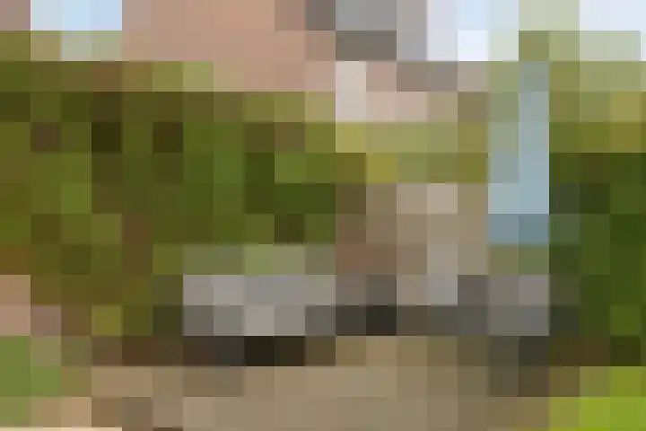 Salernolaan 18 Maastricht thumbnail 19