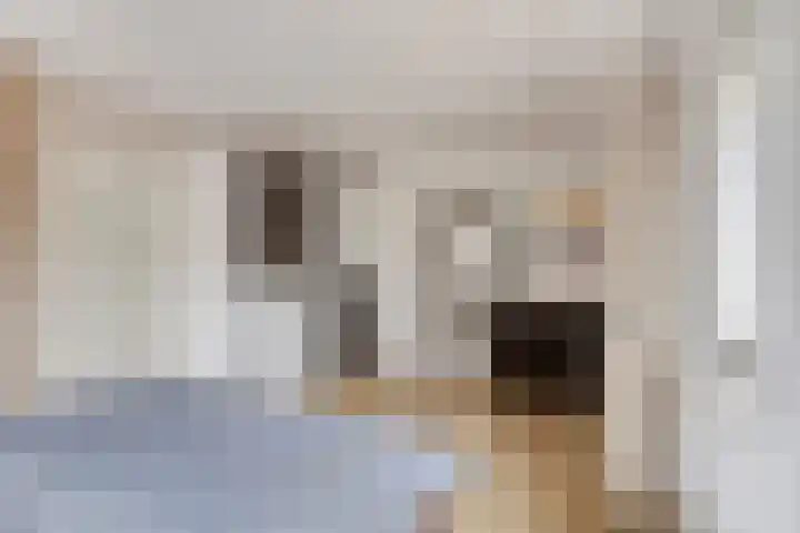 Salernolaan 18 Maastricht thumbnail 27