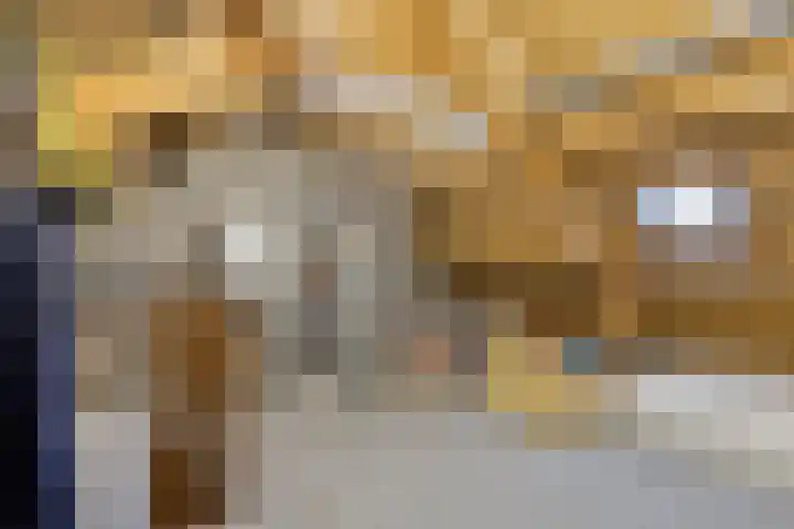 Salernolaan 18 Maastricht thumbnail 37
