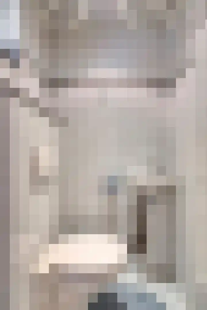 Salernolaan 18 Maastricht thumbnail 4