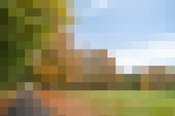 Salernolaan 18 Maastricht thumbnail 41