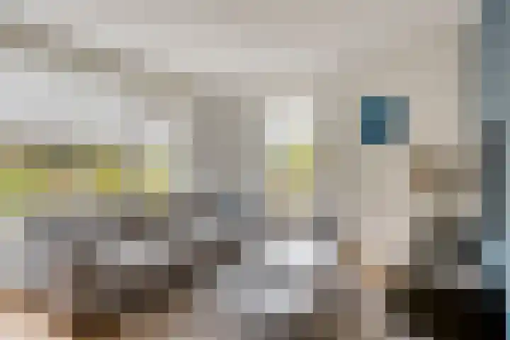 Salernolaan 18 Maastricht thumbnail 7