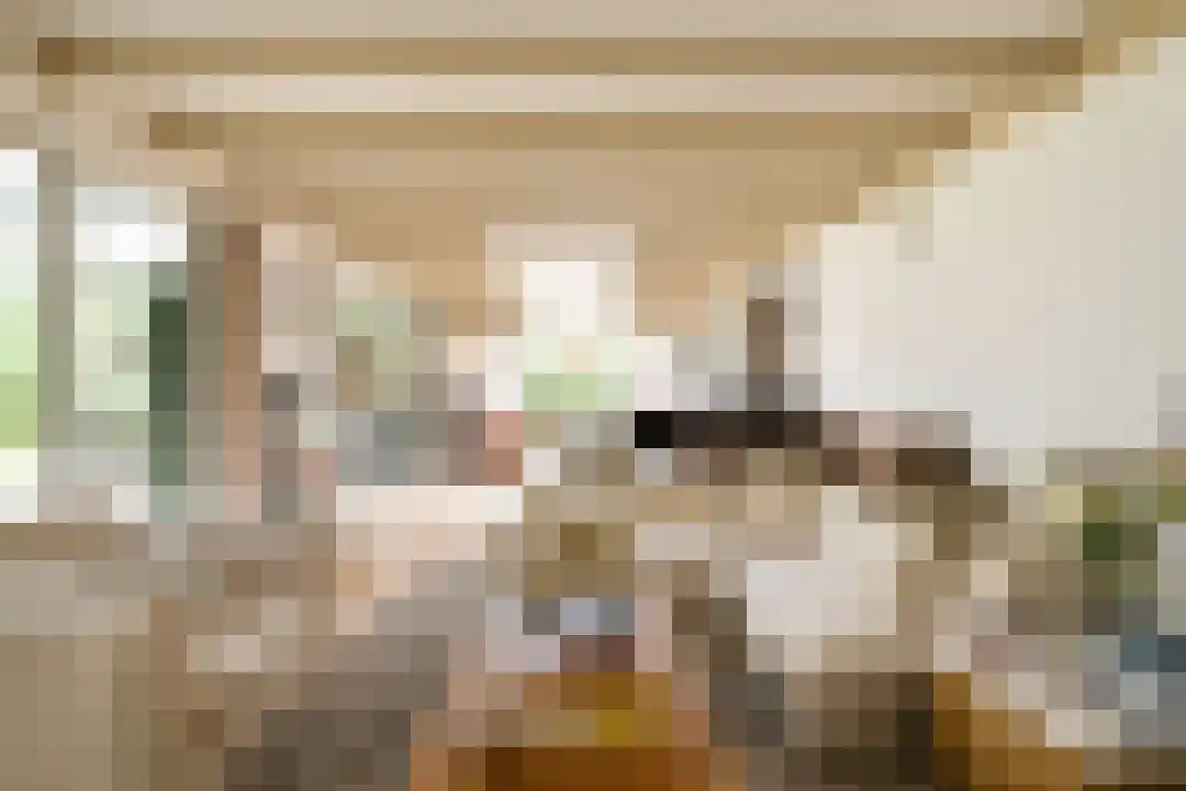 Salesdreef 3 Oosterhout thumbnail 4