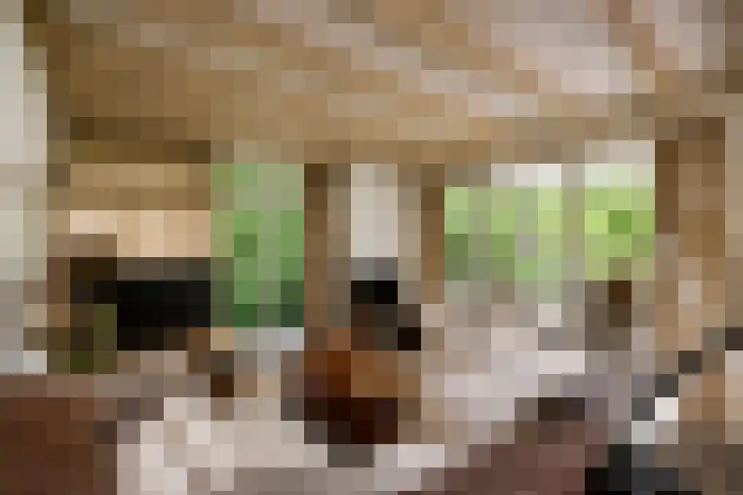 Salesdreef 3 Oosterhout thumbnail 5