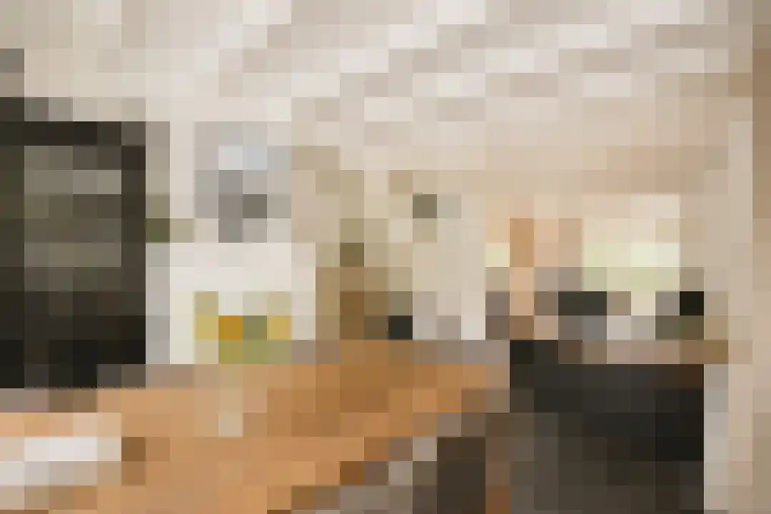 Salesdreef 3 Oosterhout thumbnail 6