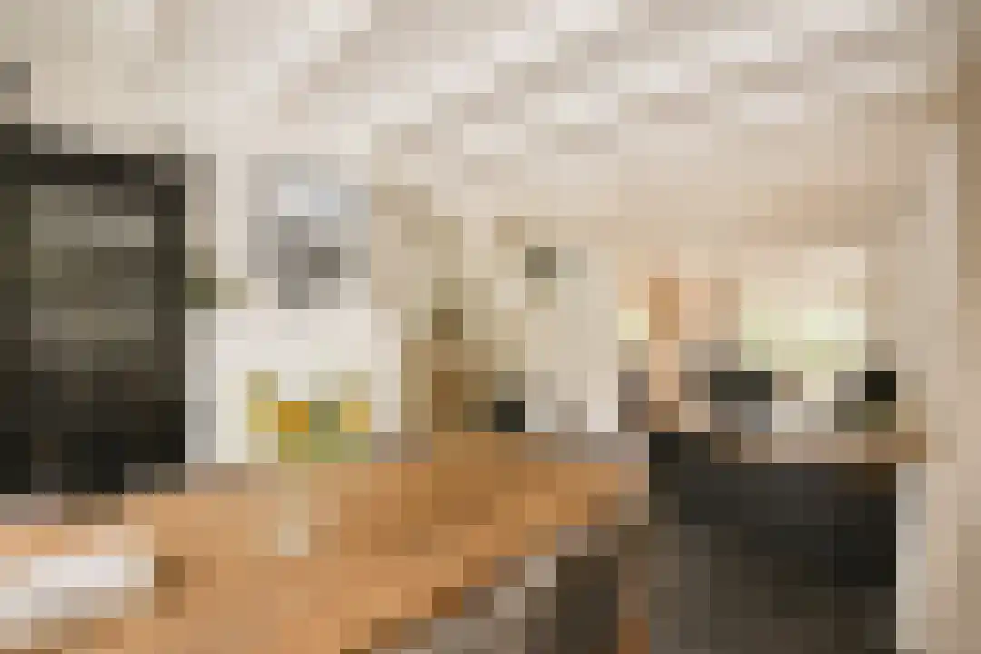Salesdreef 3 Oosterhout thumbnail 6