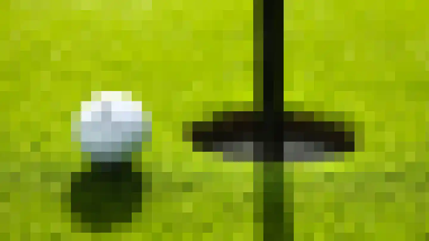 Salesdreef 7 Oosterhout thumbnail 20