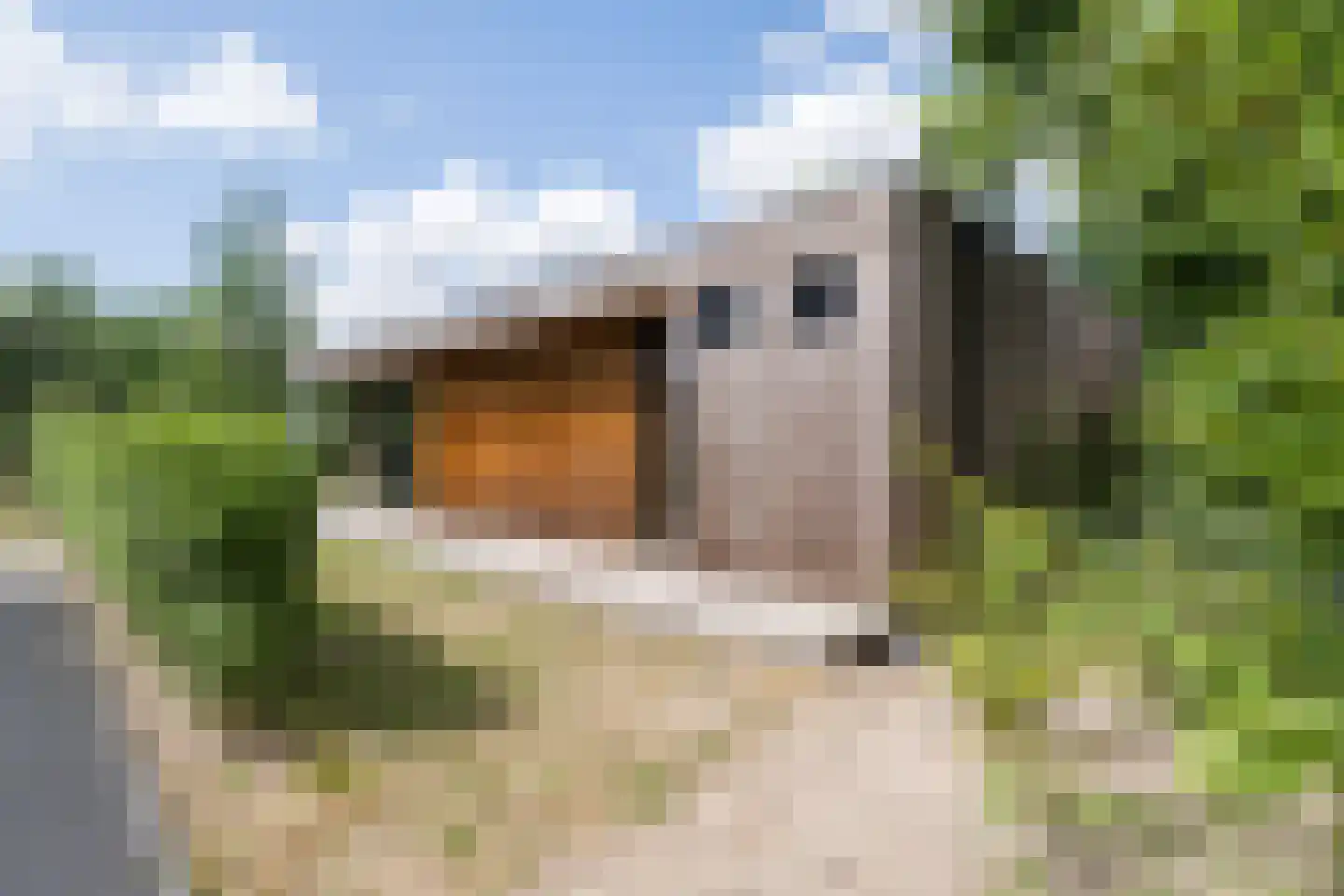 Salesdreef 7 Oosterhout thumbnail 21