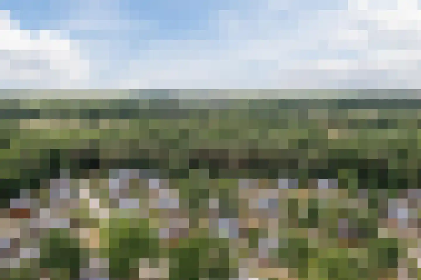 Salesdreef 7 Oosterhout thumbnail 22