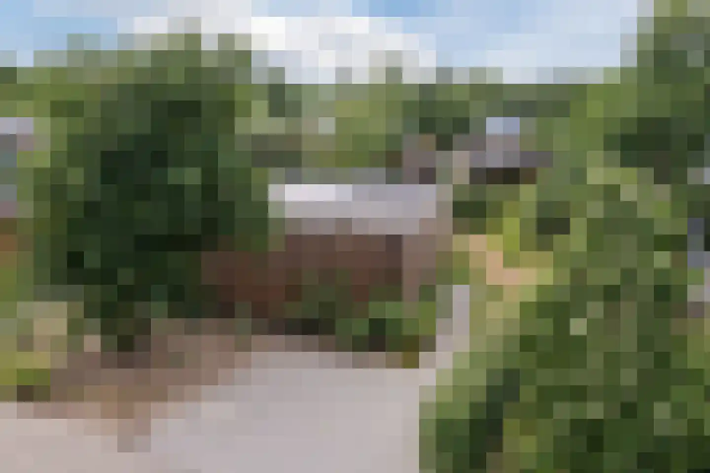 Salesdreef 7 Oosterhout thumbnail 7