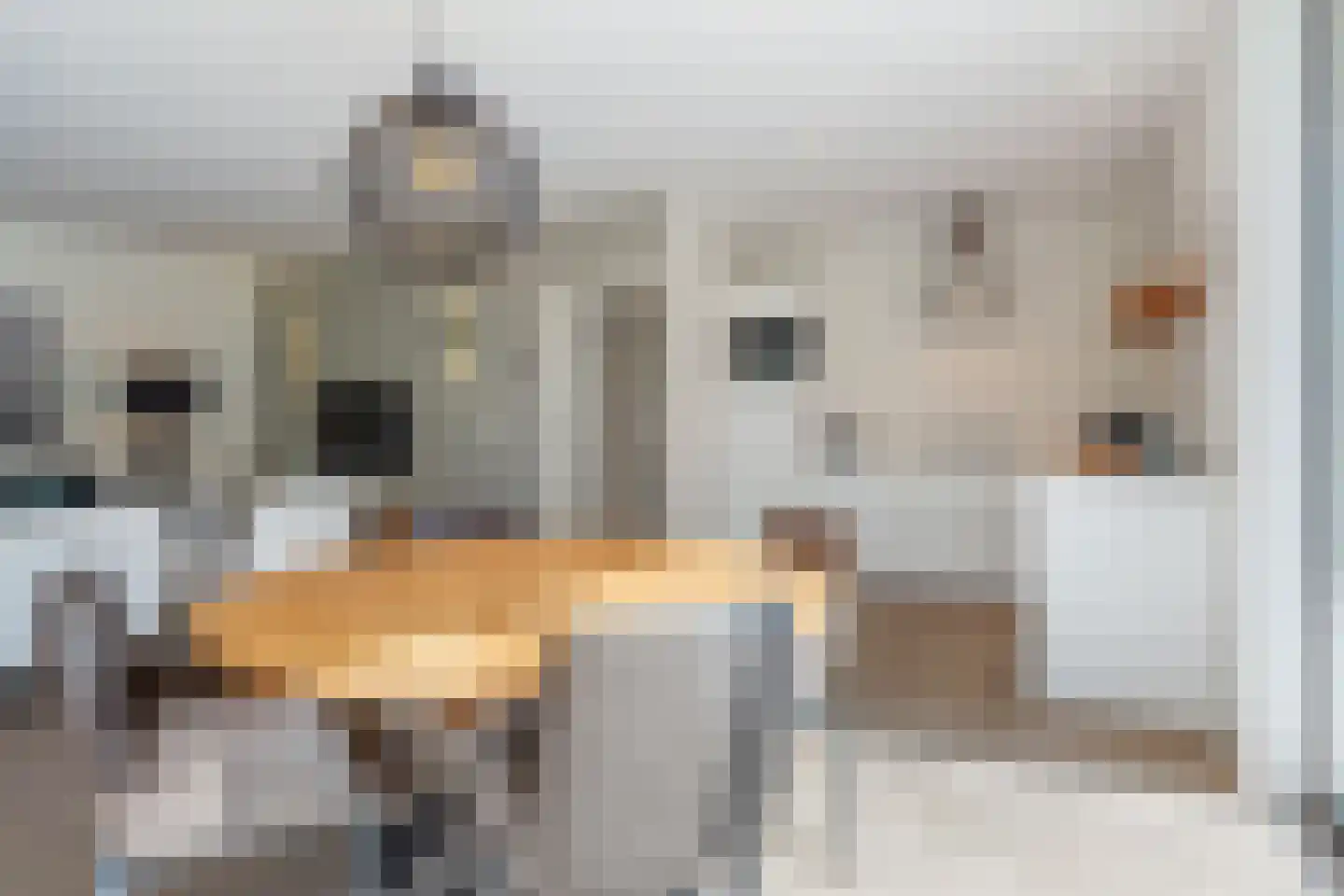 Salesdreef 7 WN01 Oosterhout thumbnail 13