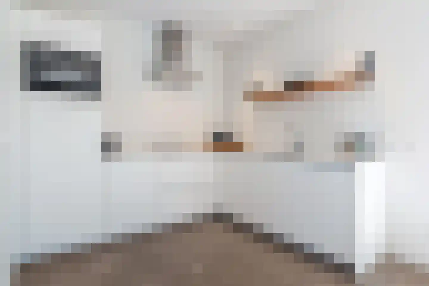 Salesdreef 7 WN01 Oosterhout thumbnail 14