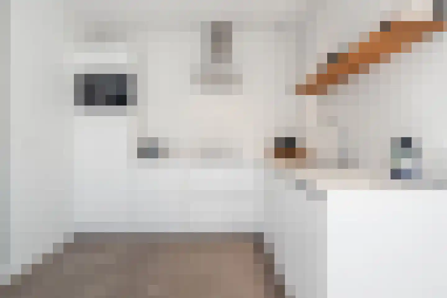 Salesdreef 7 WN01 Oosterhout thumbnail 15