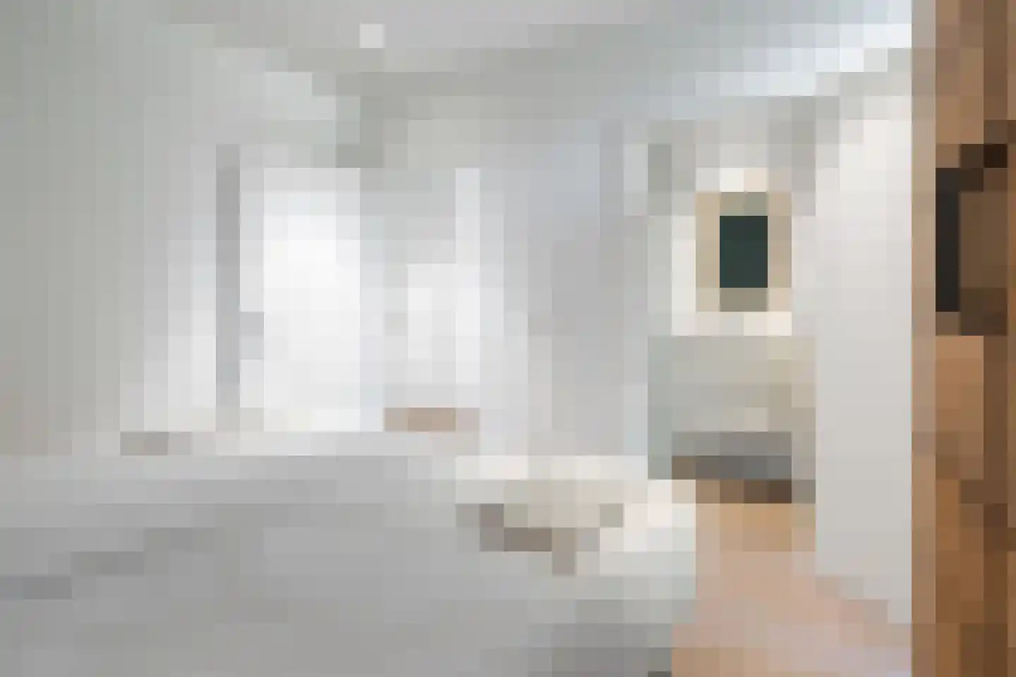 Salesdreef 7 WN01 Oosterhout thumbnail 24