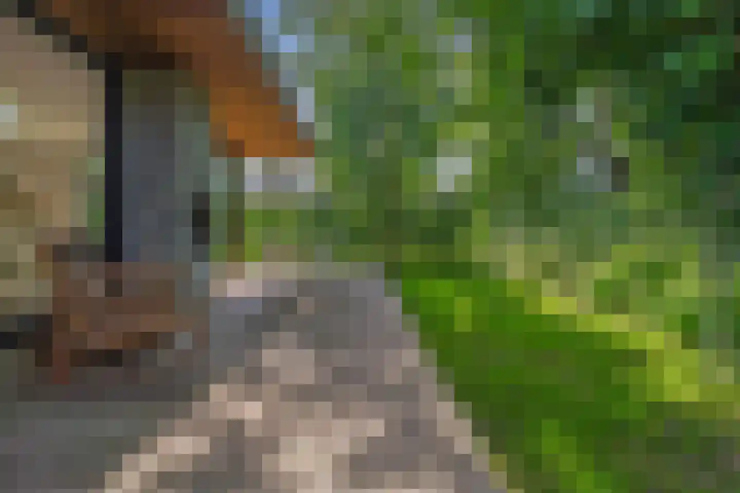 Salesdreef 7 WN01 Oosterhout thumbnail 28