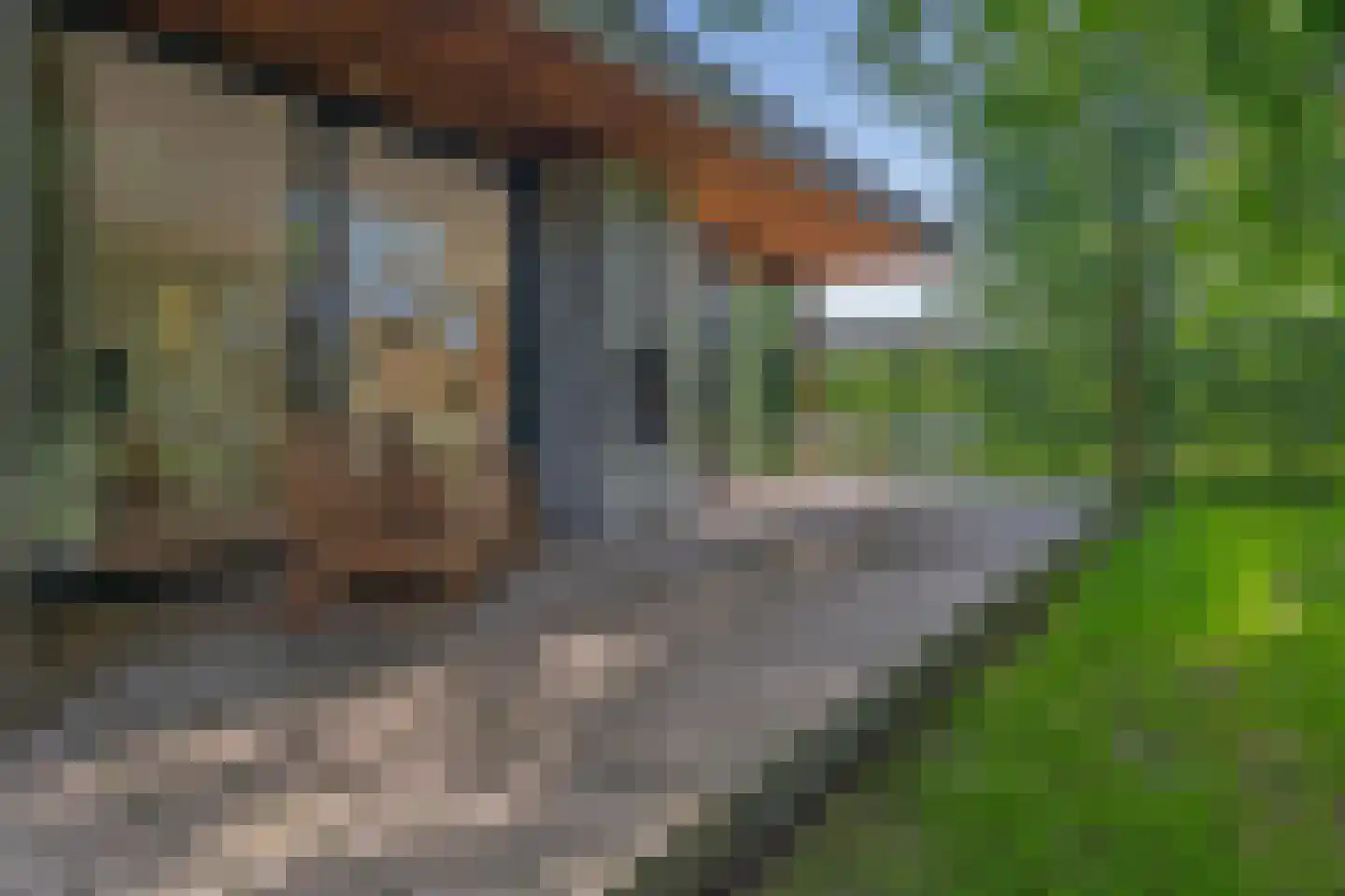 Salesdreef 7 WN01 Oosterhout thumbnail 29