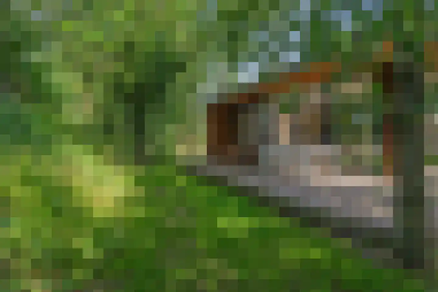 Salesdreef 7 WN01 Oosterhout thumbnail 31
