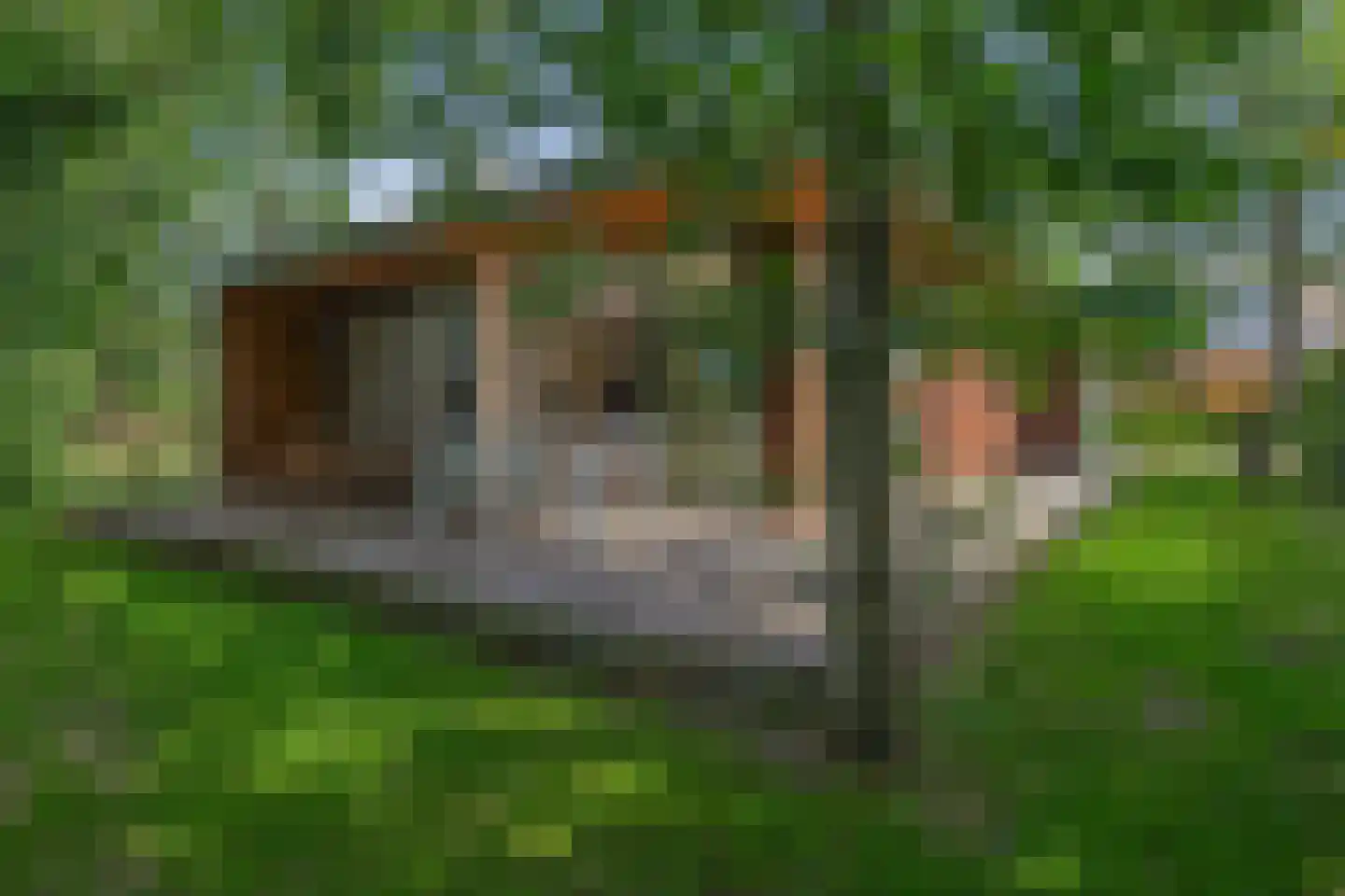 Salesdreef 7 WN01 Oosterhout thumbnail 32