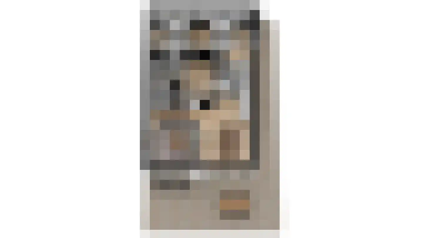 Salesdreef 7 WN01 Oosterhout thumbnail 39