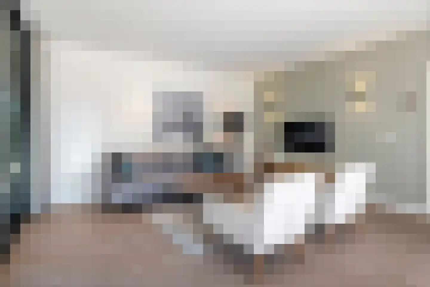 Salesdreef 7 WN01 Oosterhout thumbnail 8