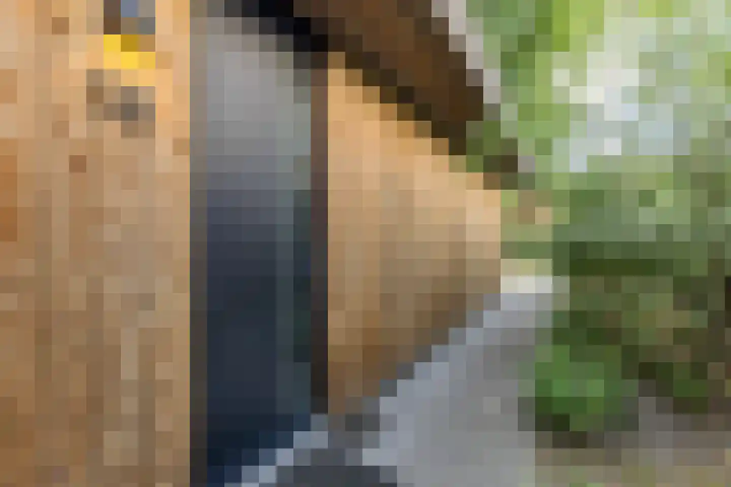 Salesdreef 7 WN18 Oosterhout thumbnail 13