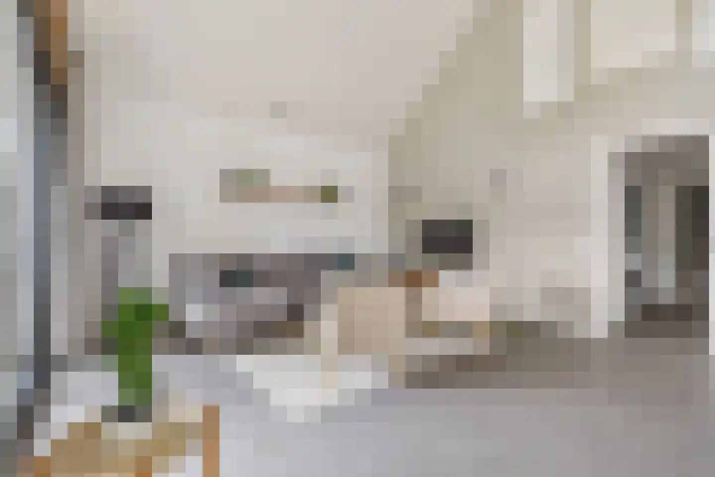 Salesdreef 7 WN18 Oosterhout thumbnail 19