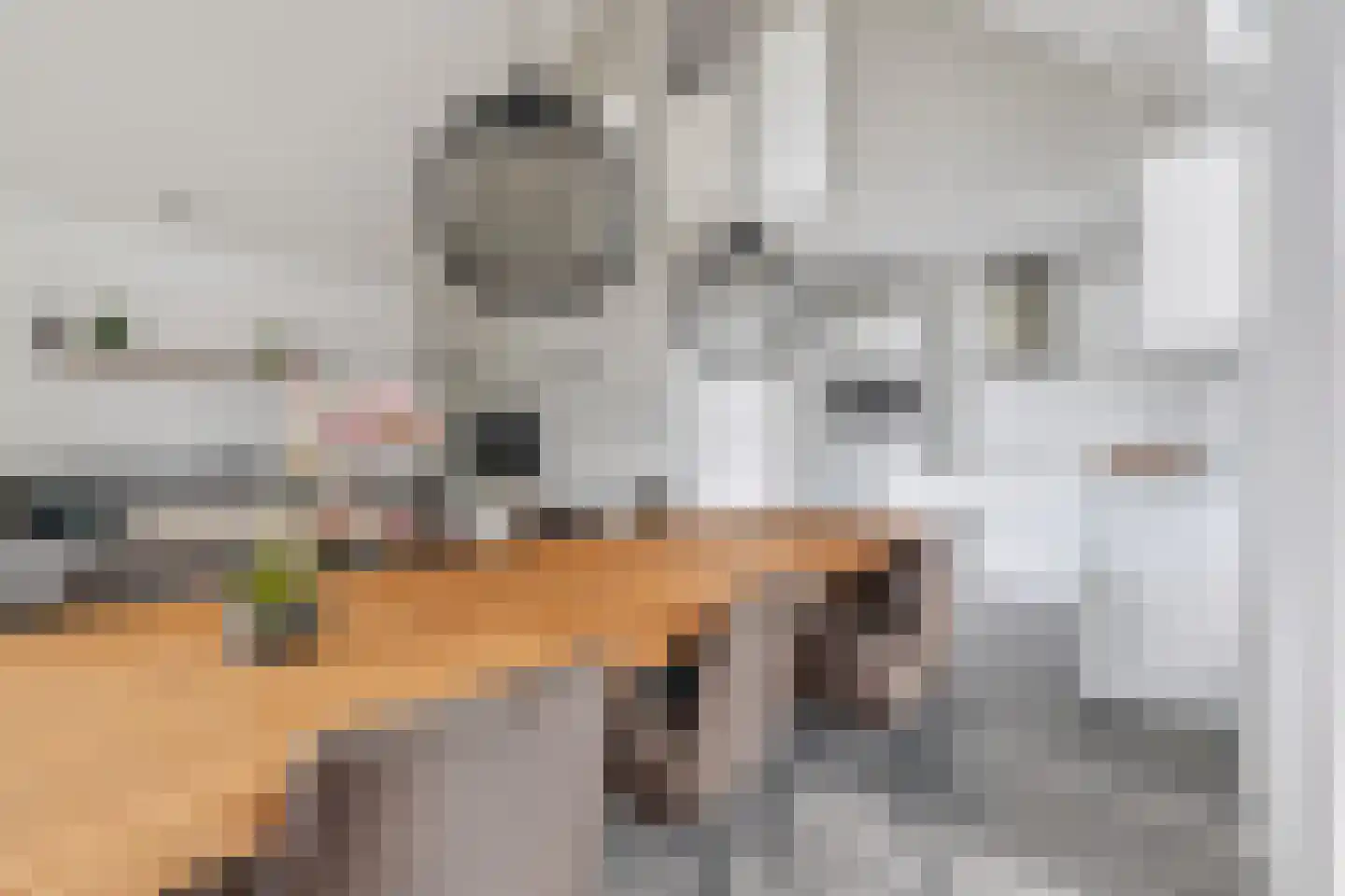 Salesdreef 7 WN18 Oosterhout thumbnail 23