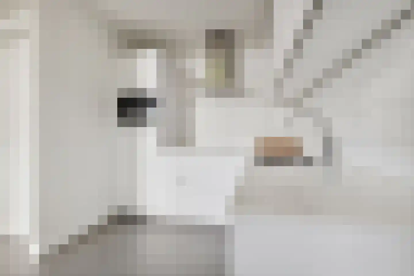 Salesdreef 7 WN18 Oosterhout thumbnail 27