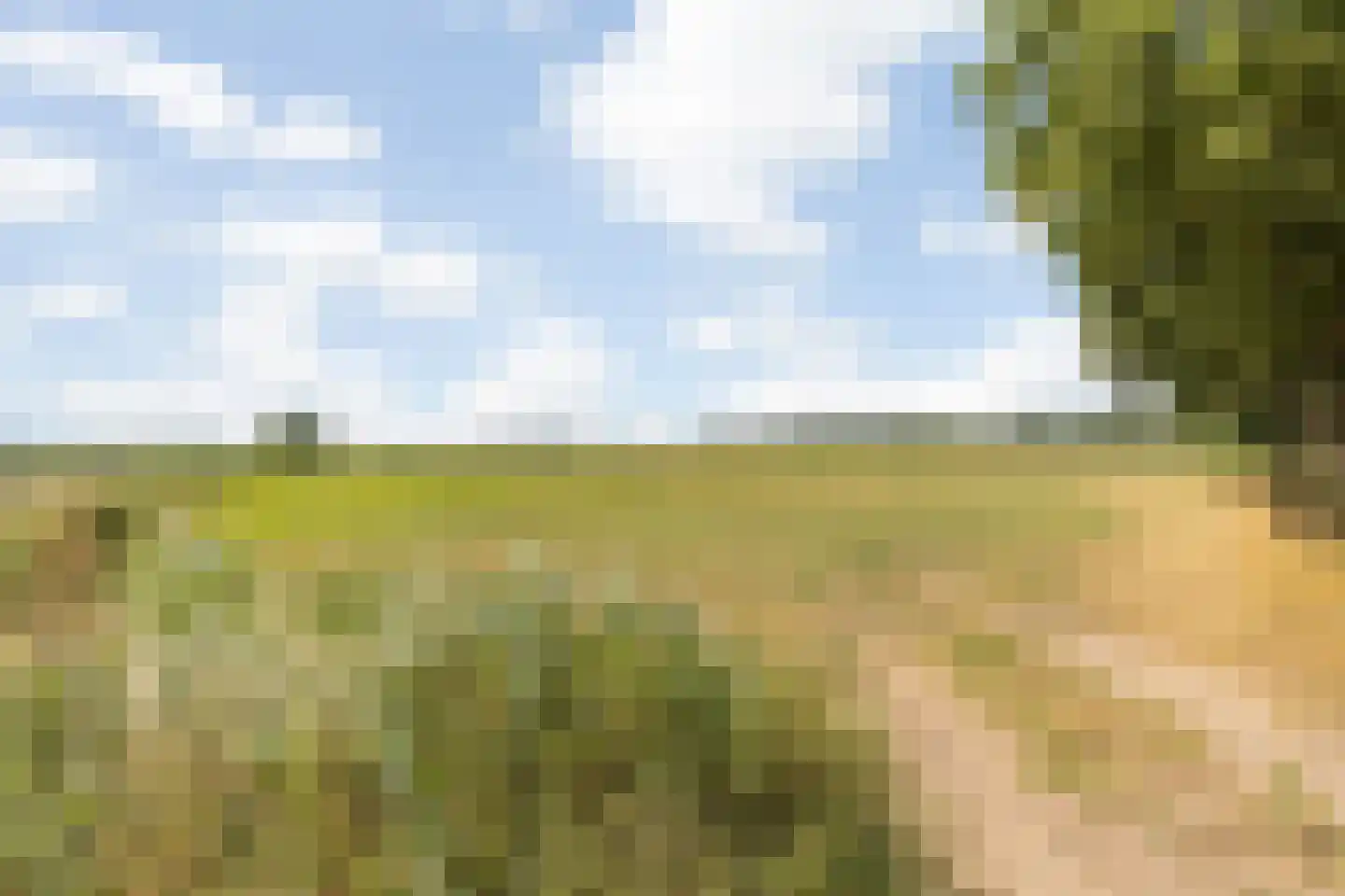 Salesdreef 7 WN18 Oosterhout thumbnail 64