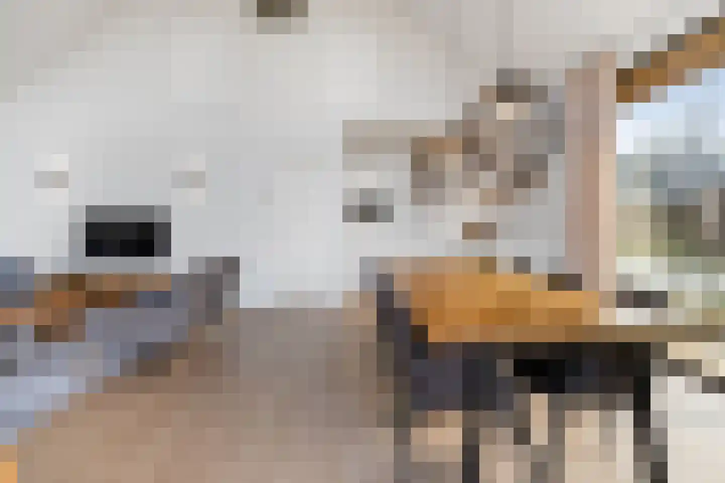 Salesdreef 7 WN53 Oosterhout thumbnail 11