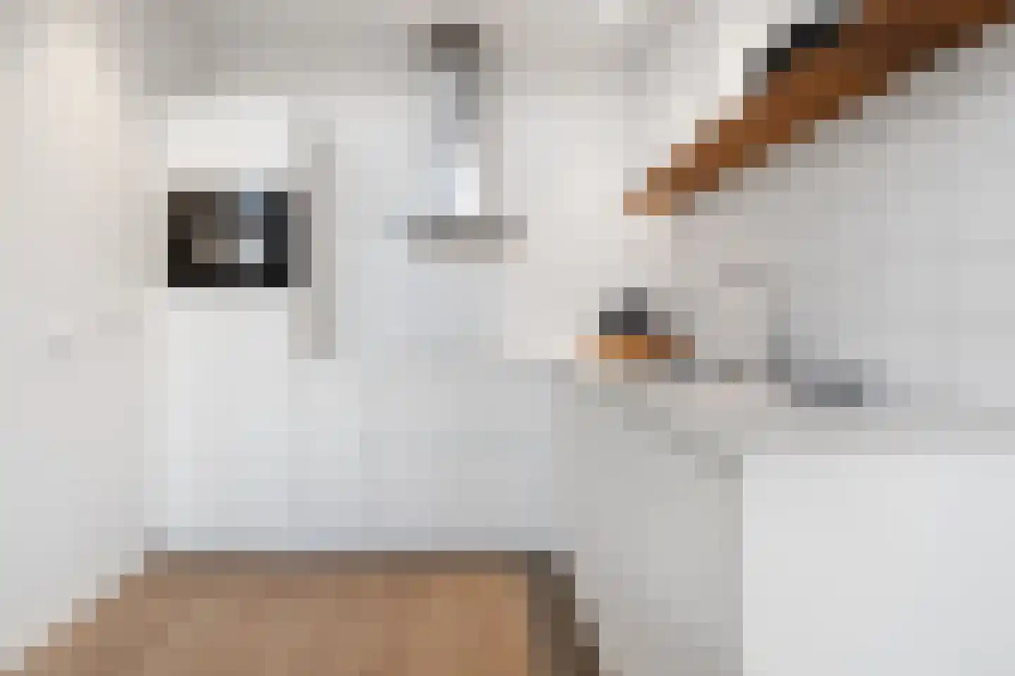 Salesdreef 7 WN53 Oosterhout thumbnail 13