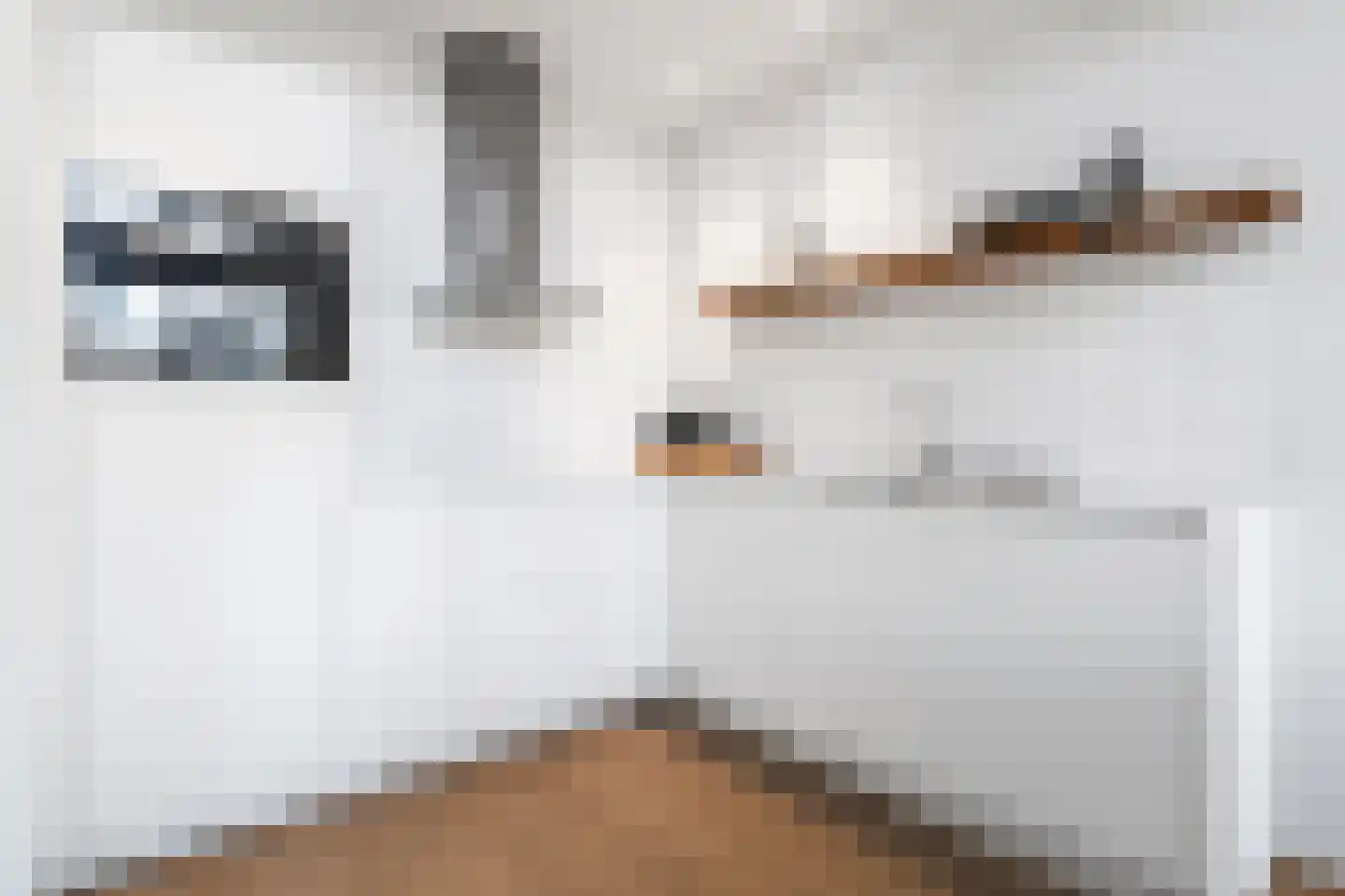 Salesdreef 7 WN53 Oosterhout thumbnail 14