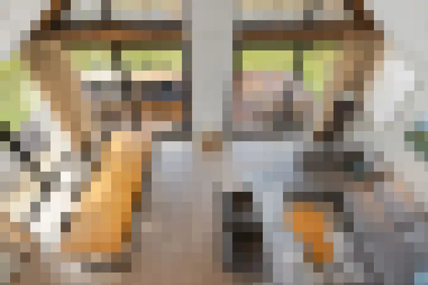 Salesdreef 7 WN53 Oosterhout thumbnail 23