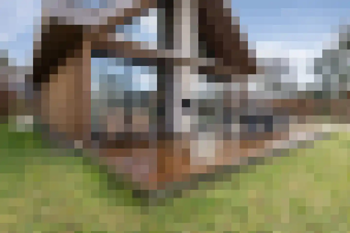 Salesdreef 7 WN53 Oosterhout thumbnail 32
