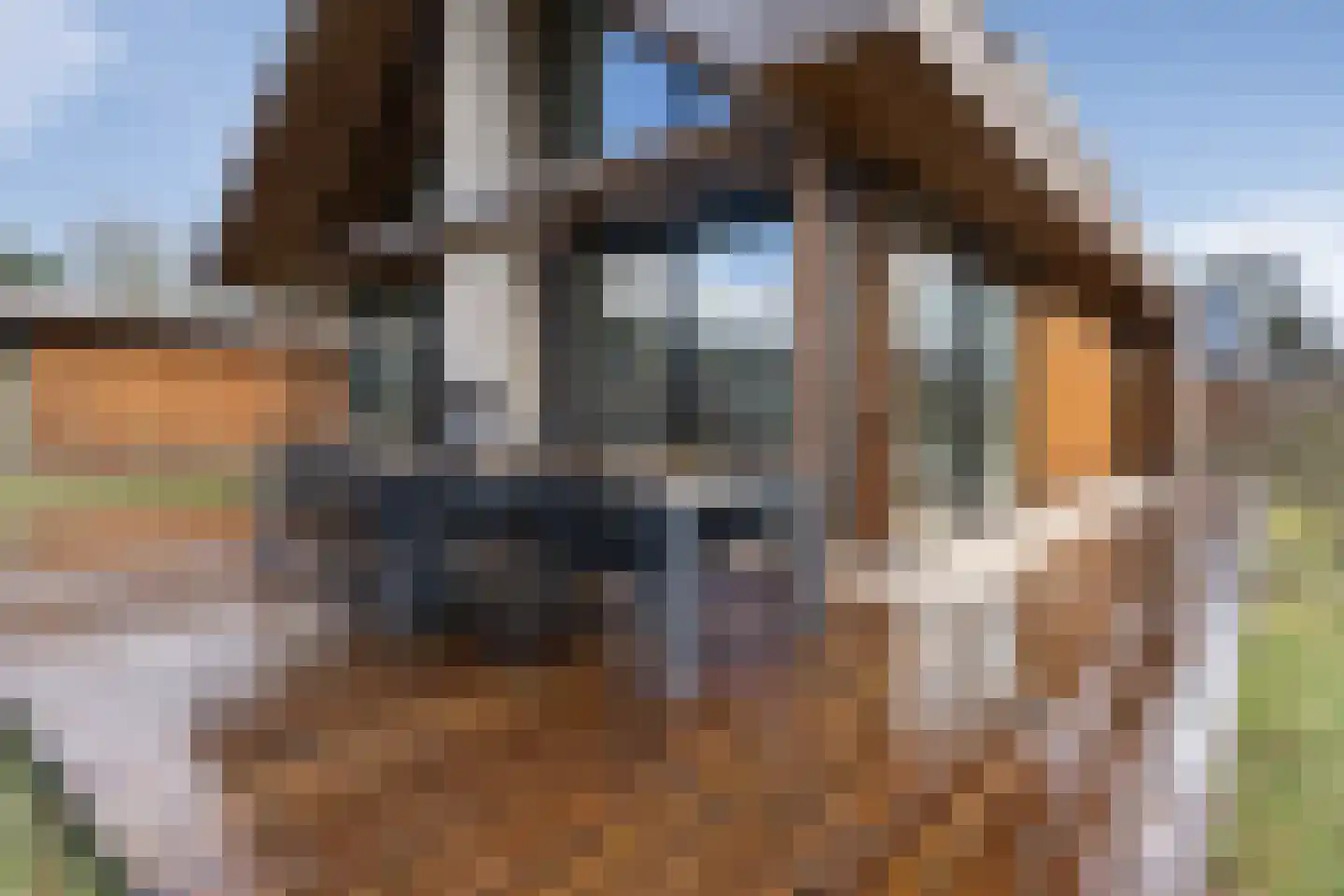 Salesdreef 7 WN53 Oosterhout thumbnail 33