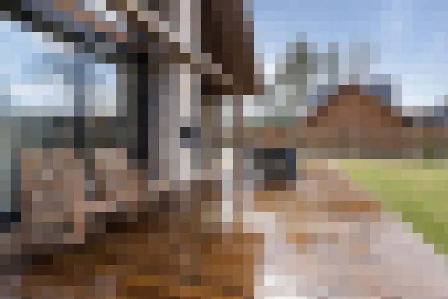 Salesdreef 7 WN53 Oosterhout thumbnail 4