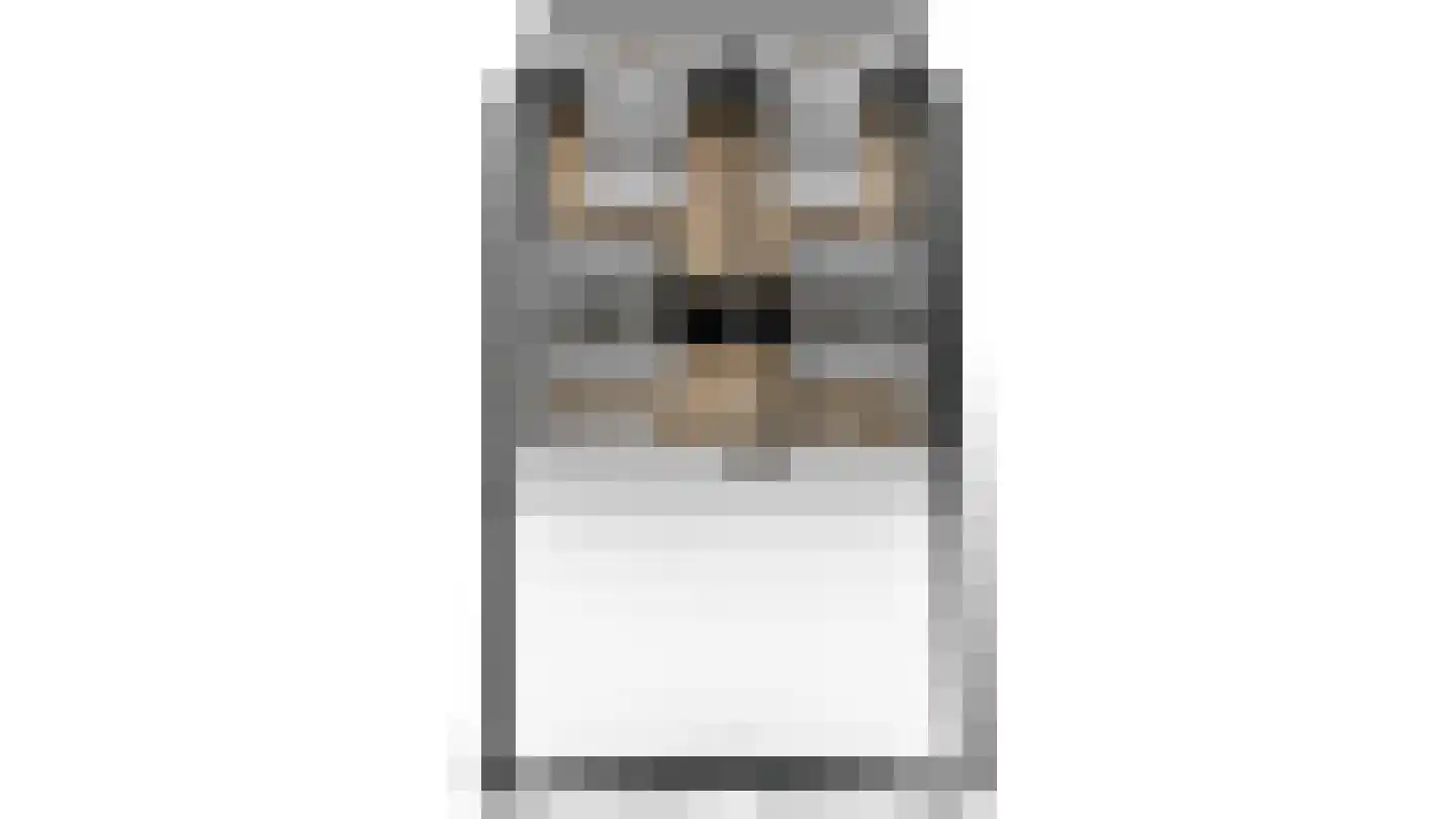 Salesdreef 7 WN53 Oosterhout thumbnail 43