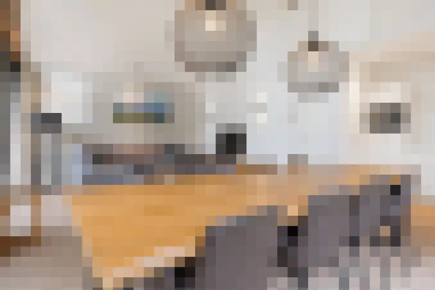 Salesdreef 7 WN64 Oosterhout thumbnail 13