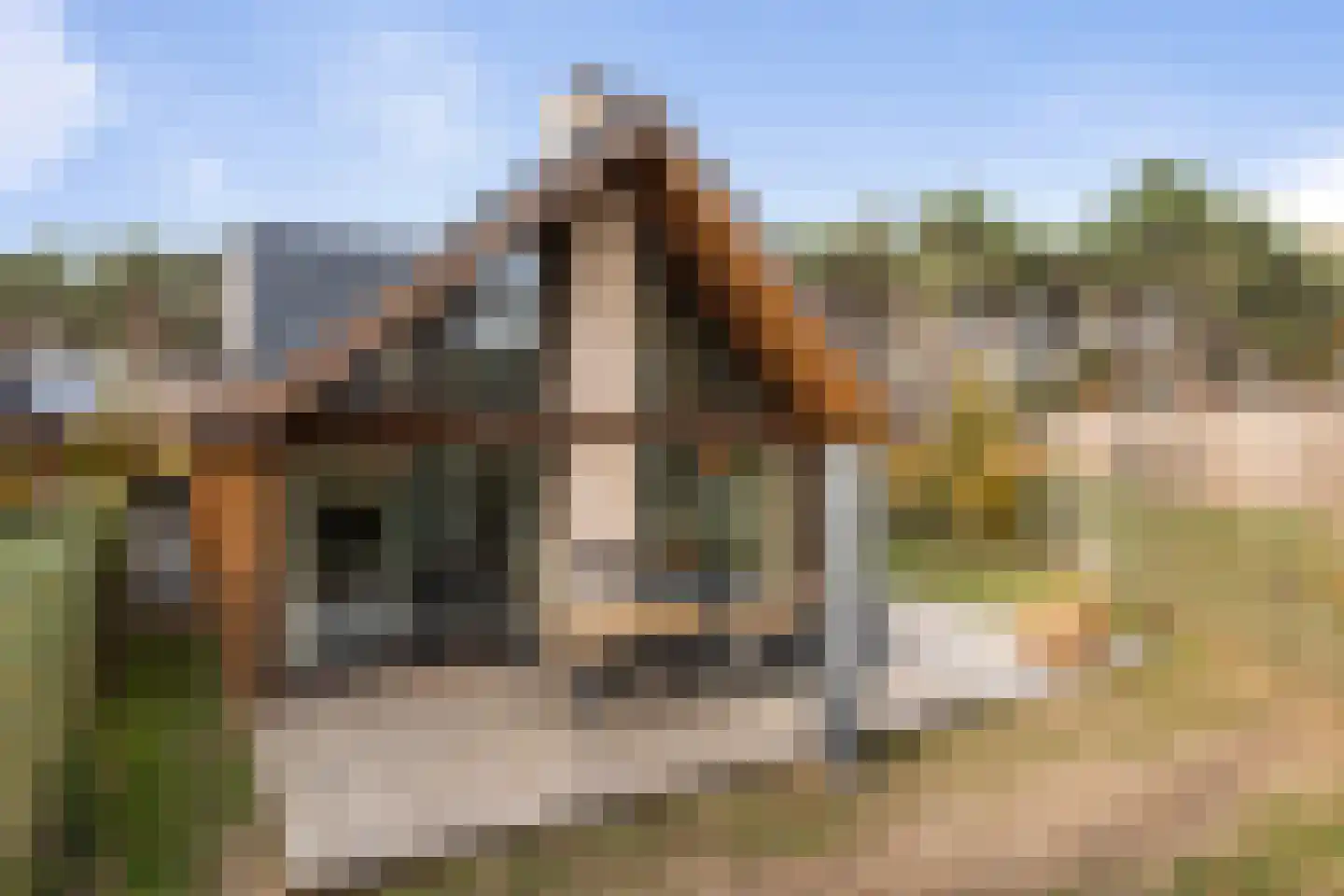 Salesdreef 7 WN64 Oosterhout thumbnail 39