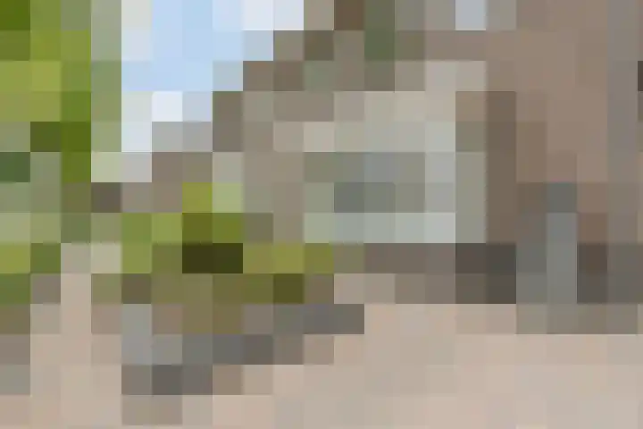 Saliebrink 2 Beilen thumbnail 10