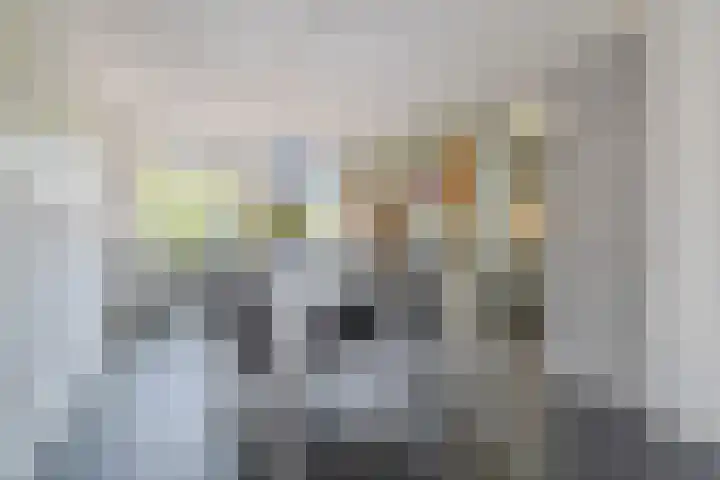Saliebrink 2 Beilen thumbnail 19