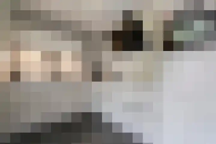 Saliebrink 2 Beilen thumbnail 22